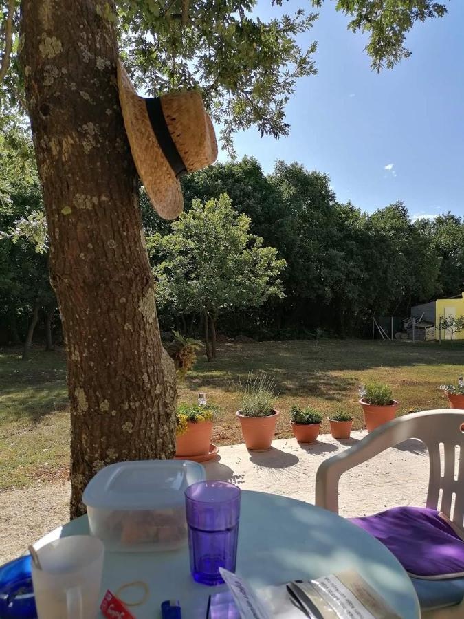 Tiny House Dora Villa Marčana Eksteriør bilde
